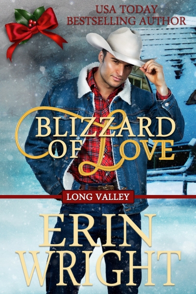 Blizzard of Love - A Long Valley Western Romance (Book 2)