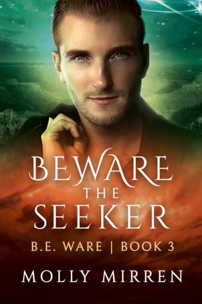 Beware the Seeker (B. E. Ware Book 3)