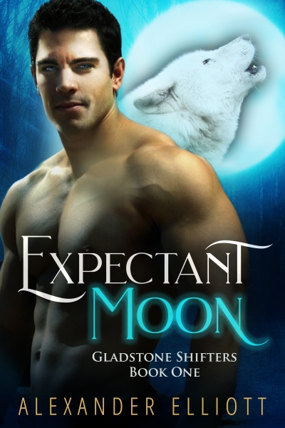 Expectant Moon: An MM gay paranormal romance