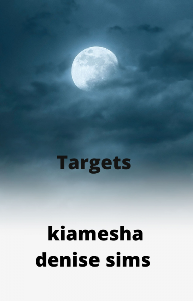 Targets: Book 1 of The Blinded BullsEye Series