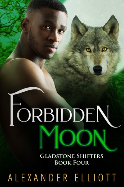 Forbidden Moon: An MM gay paranormal romance
