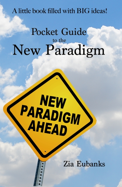 Pocket Guide to the New Paradigm