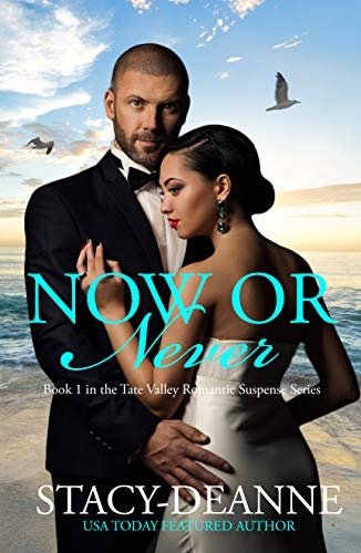 Now or Never (The Tate Valley Romantic Suspense Series Book 1)